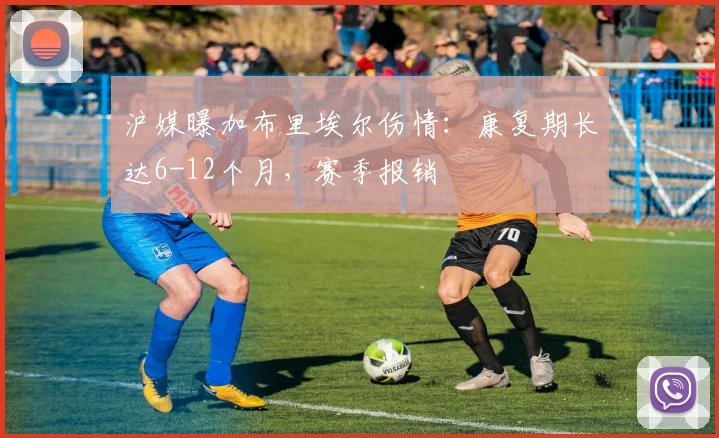沪媒曝加布里埃尔伤情：康复期长达6-12个月，赛季报销