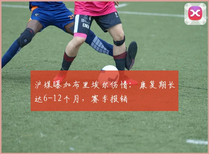 沪媒曝加布里埃尔伤情：康复期长达6-12个月，赛季报销